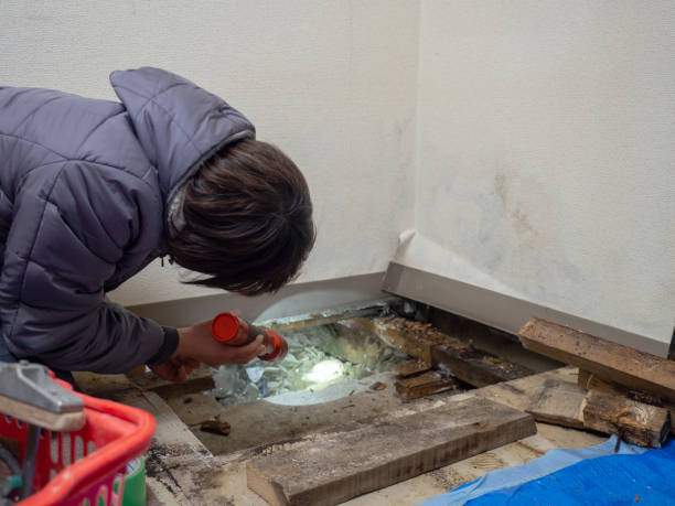 Best Industrial Mold Remediation  in Rutledge, TN