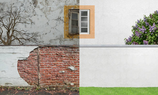 Reliable Rutledge, TN Mold Removal Solutions